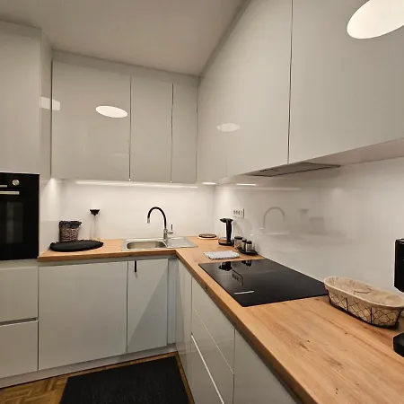 Apartment Martin In The Center Ljubljana