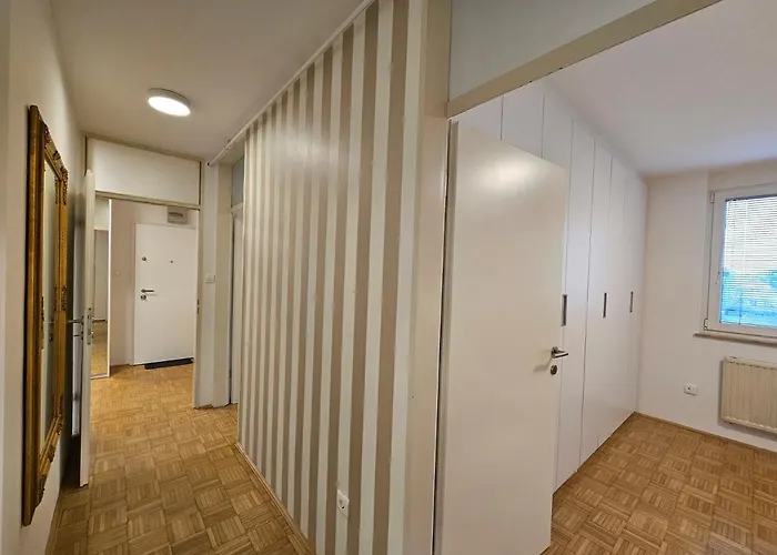 Martin In The Center Ljubljana